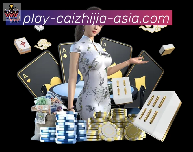 互动解说服务